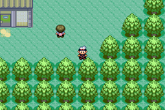 Pokemon - Sapphire Version for gba screenshot