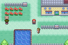 pokemon leaf green randomizer rom gba4ios