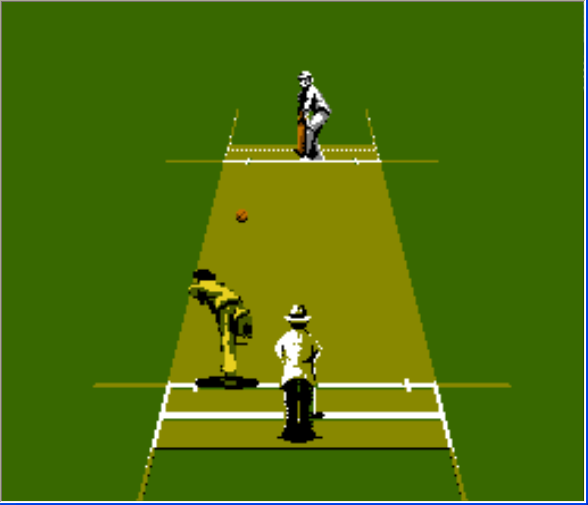 Cricket best sale video game